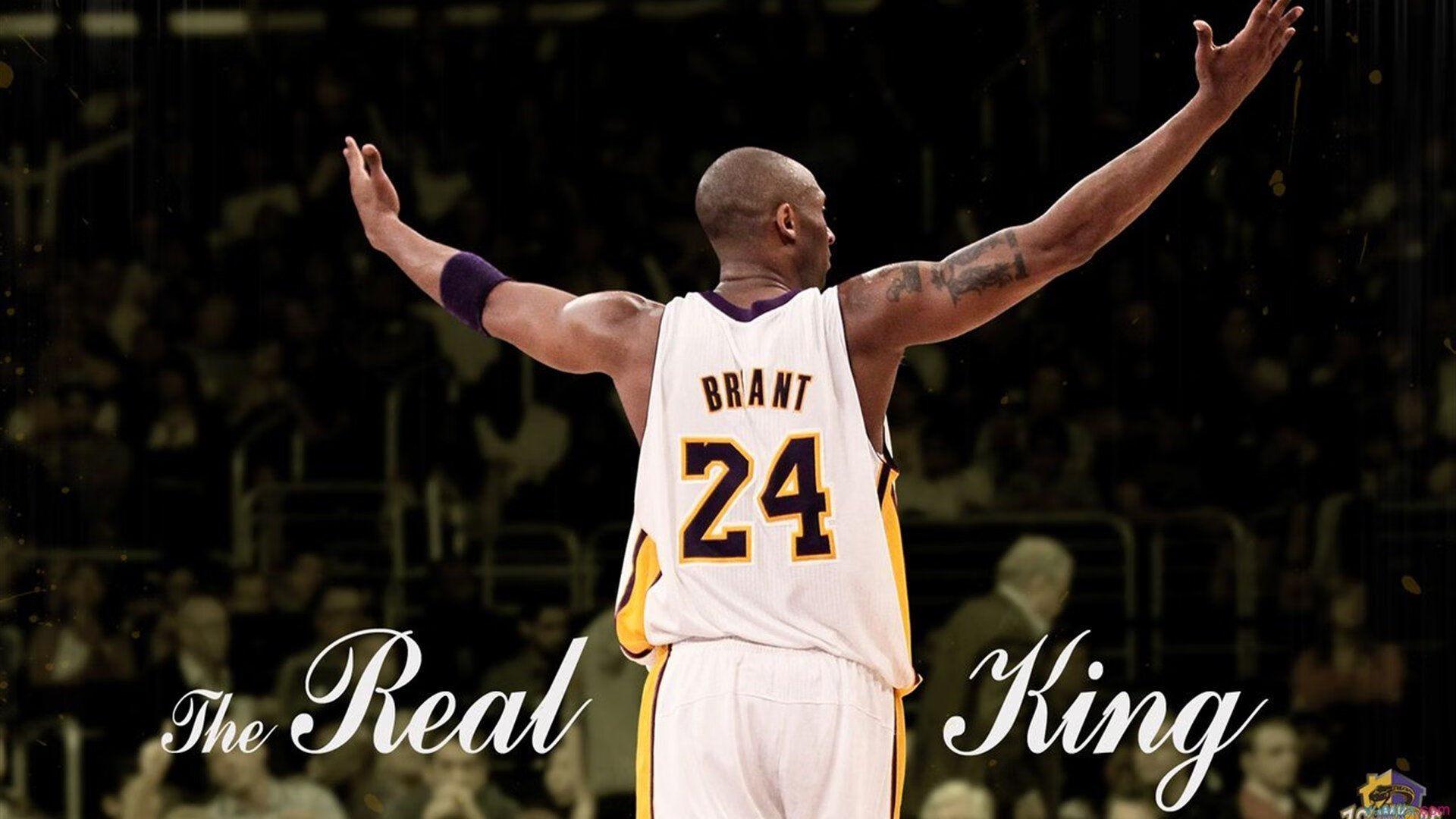 篮球赛场焦点！俄罗斯队对阵意大利队，主力缺阵，替补球员挺身而出